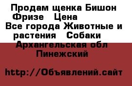 Продам щенка Бишон Фризе › Цена ­ 30 000 - Все города Животные и растения » Собаки   . Архангельская обл.,Пинежский 